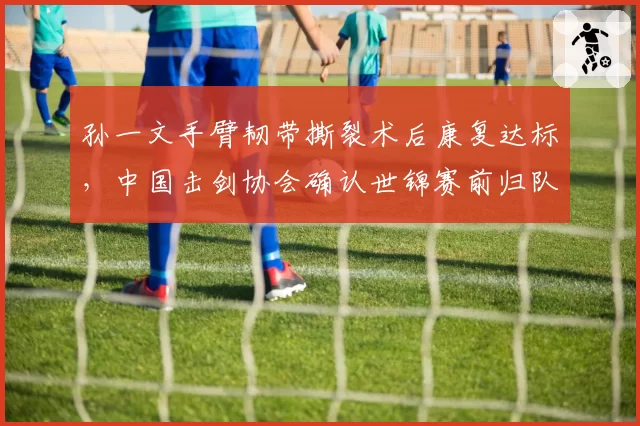 孙一文手臂韧带撕裂术后康复达标,中国击剑协会确认世锦赛前归队