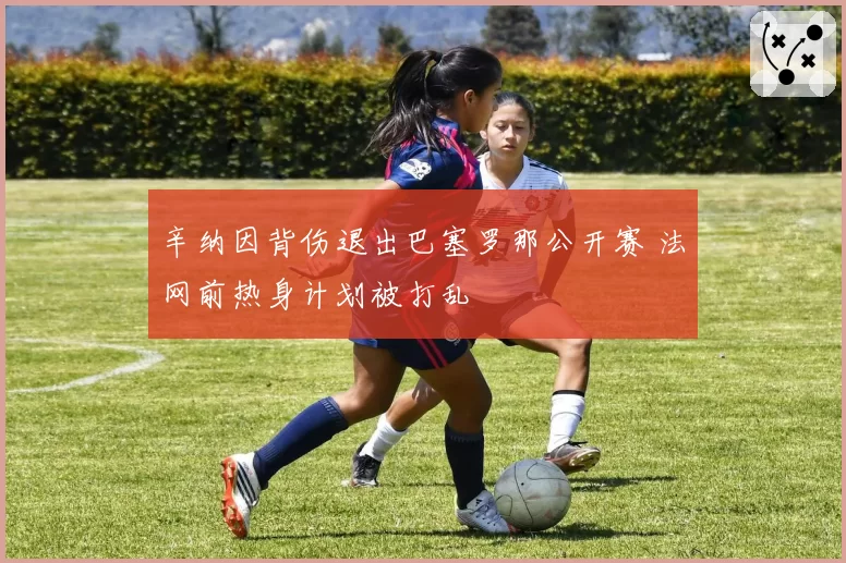 辛纳因背伤退出巴塞罗那公开赛 法网前热身计划被打乱