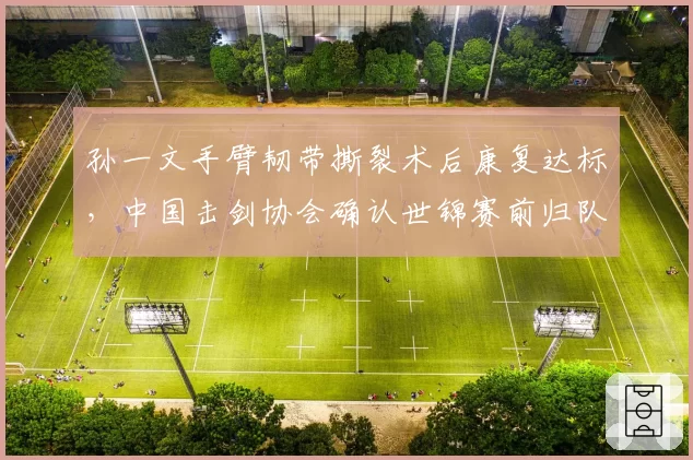 孙一文手臂韧带撕裂术后康复达标,中国击剑协会确认世锦赛前归队