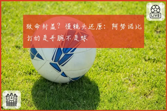 致命封盖？慢镜头还原：阿努诺比打的是手腕不是球